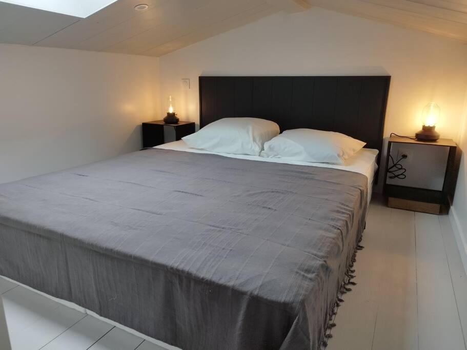 Apartment Grand Ancien En Centre *